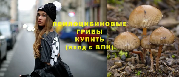 первитин Покровск