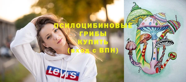 2c-b Покачи