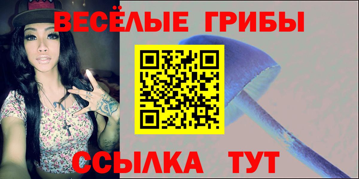 Галлюциногенные грибы GOLDEN TEACHER Каменск-Шахтинский