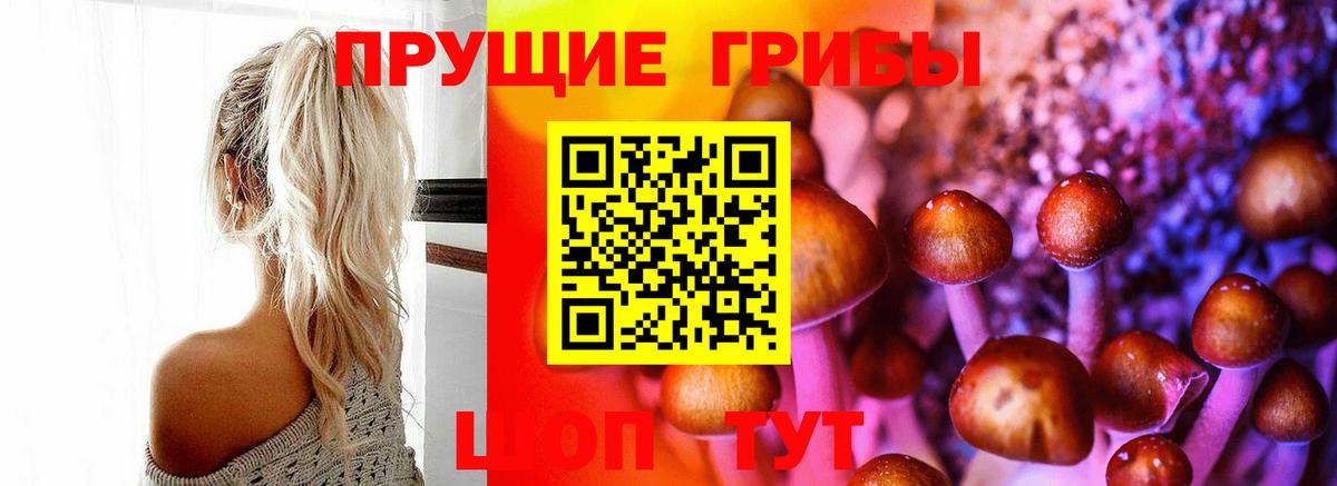 Галлюциногенные грибы Magic Shrooms  Вход с VPN  Каменск-Шахтинский 